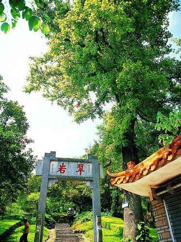 中秋后国庆前 抓住好时机登高赏美景