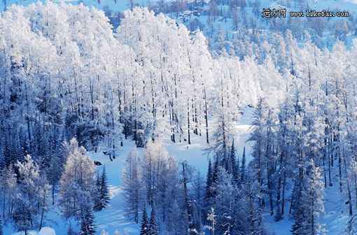 雪色的浪漫 新疆喀纳斯冬季自助游攻略