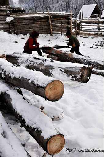 雪色的浪漫 新疆喀纳斯冬季自助游攻略
