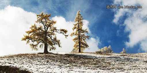 雪色的浪漫 新疆喀纳斯冬季自助游攻略