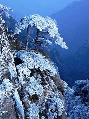 黄山雾凇