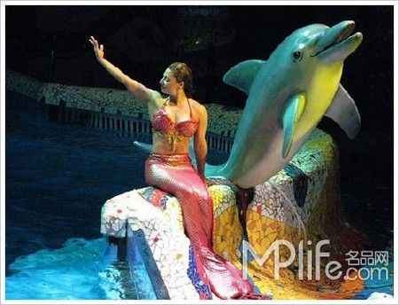 国内顶级6大浪漫海洋世界