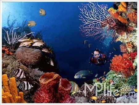 国内顶级6大浪漫海洋世界