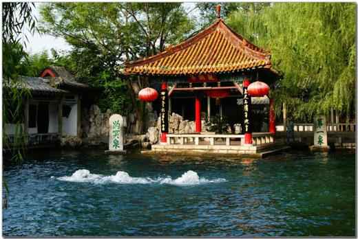 三株玉树照清湖