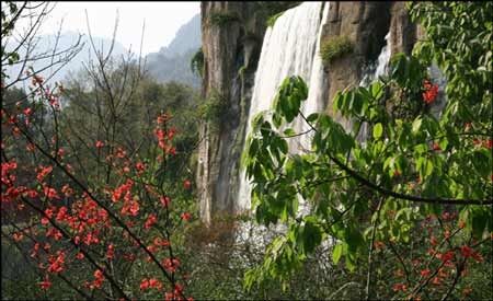 早春踏青觅香 悠游国内10大赏花胜地