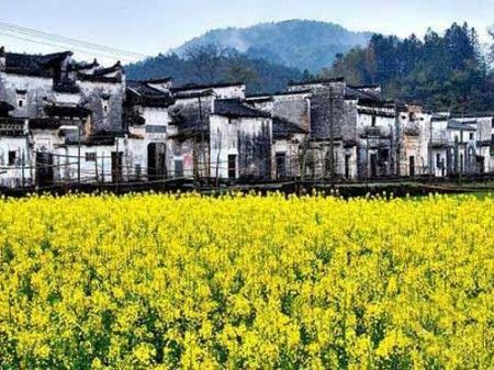 早春踏青觅香 悠游国内10大赏花胜地