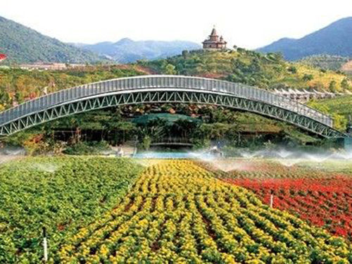 探秘东部华侨城 春天的七个瞬间