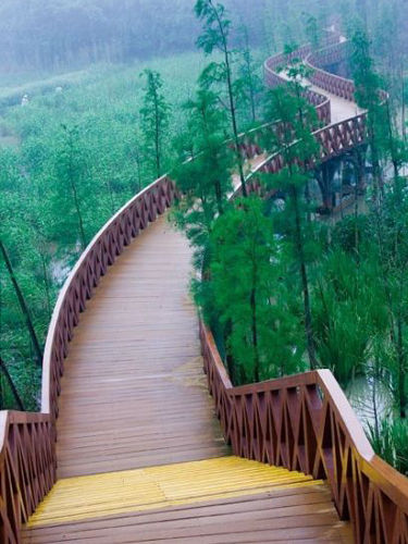 探秘东部华侨城 春天的七个瞬间