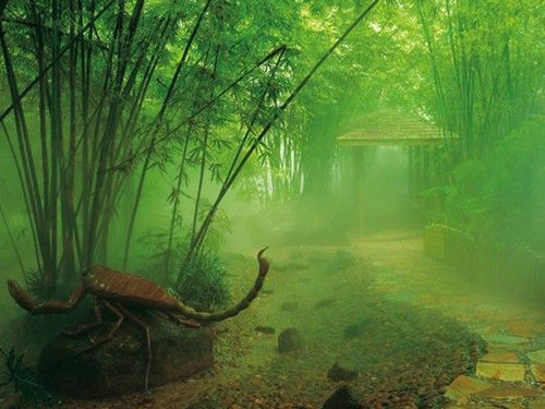 探秘东部华侨城 春天的七个瞬间