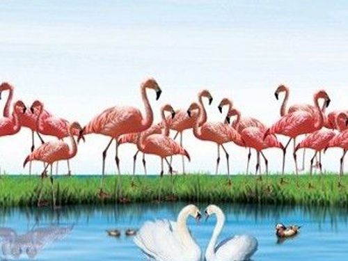 探秘东部华侨城 春天的七个瞬间