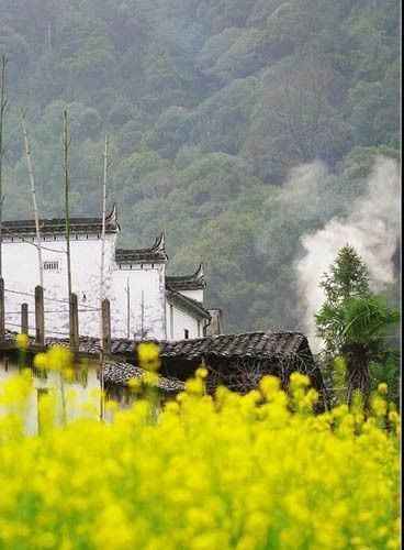 保存美景 四月江西婺源行摄宝典