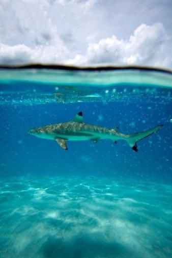 拥抱温暖阳光 澳洲体验正当时