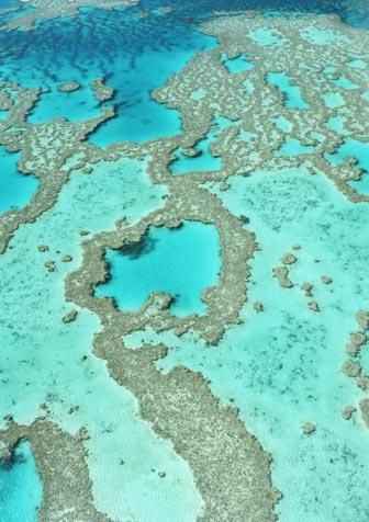 拥抱温暖阳光 澳洲体验正当时