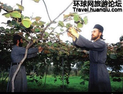 只有男人的希腊小岛(图)