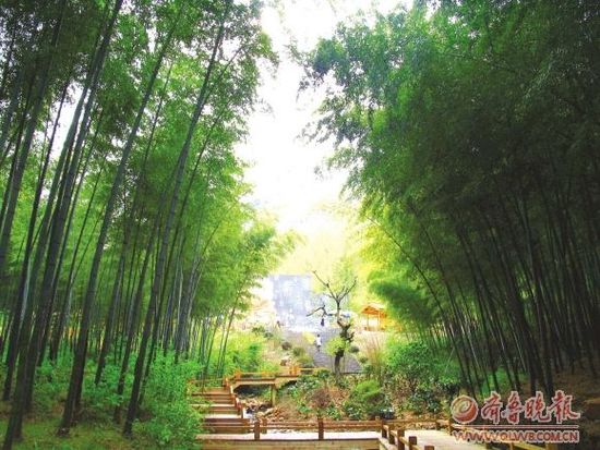 观海听潮赏旖旎风光自驾寻芳游人间胜境