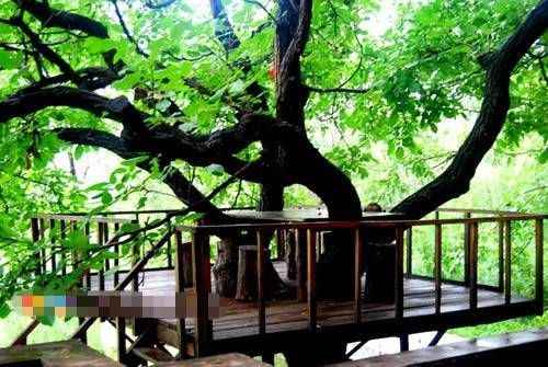 秋季京郊自驾游 盘点最小资的十大度假村