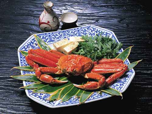 周末自驾 食行广东