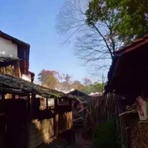 石城戴村遊记！