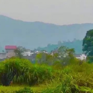 从沥崌山泗洲降浅谈借伽大師！