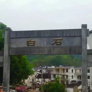 秋口镇白石，乌坑，丛树遊记谈！