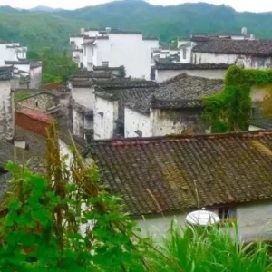 思口镇东山村（长滩）遊记谈！