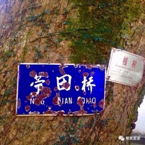 高砂苧田桥遊记！