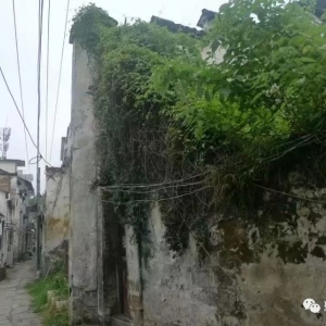 蚺城土地堂桑园寻古韵隨谈！