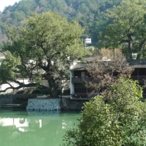 绿水河畔坦村！