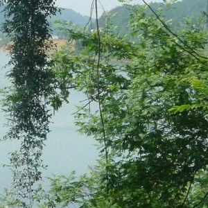 石枧村印象！