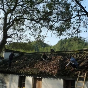 古老之西坑！