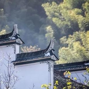 走在江南的田园小镇—婺源