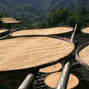 婺源篁岭