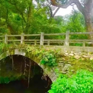 访大呈山俞氏几村谈！